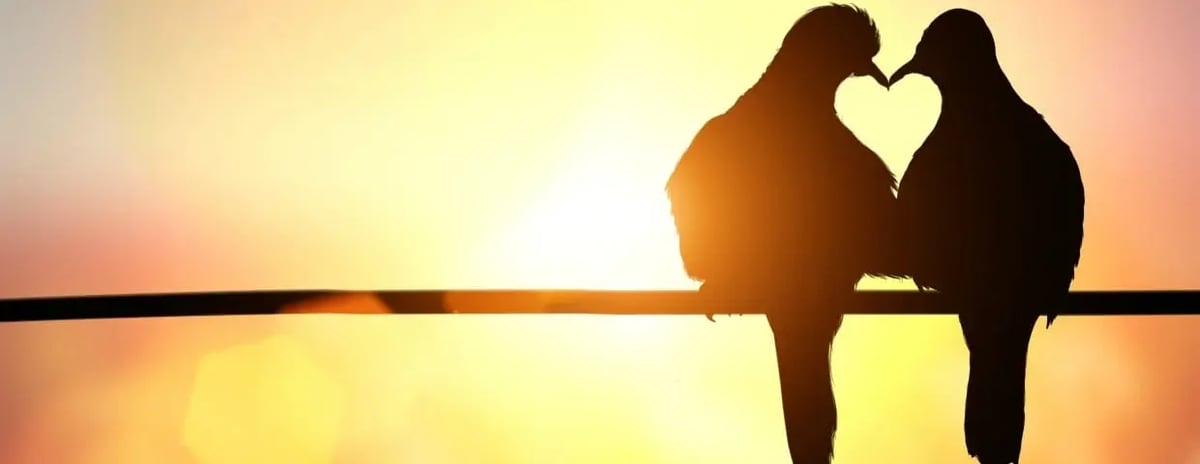 Sales and Marketing Alignment