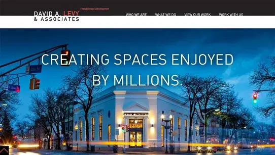 David A. Levy & Associates homepage hero banner example